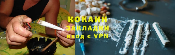 индика Баксан