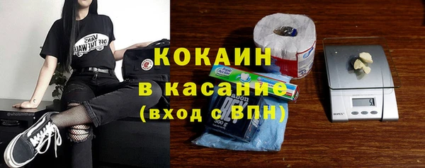 индика Баксан