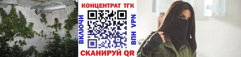 Купить где  Белинский  ТГК гашишное масло 