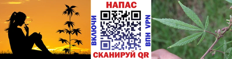 Купить где  Белинский  Канабис White Widow 